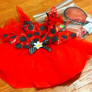 Ladybug costume